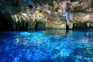Tulum villa surrounded by jungle and cenotes